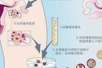 安徽省三代试管助孕公司有哪些？业务和费用明细介绍