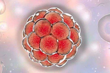 2026贵州医科附属医院三代试管婴儿成功率一览，附三代试管医生推荐